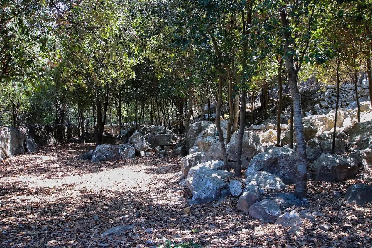 Pollensa - 40629 Mallorca